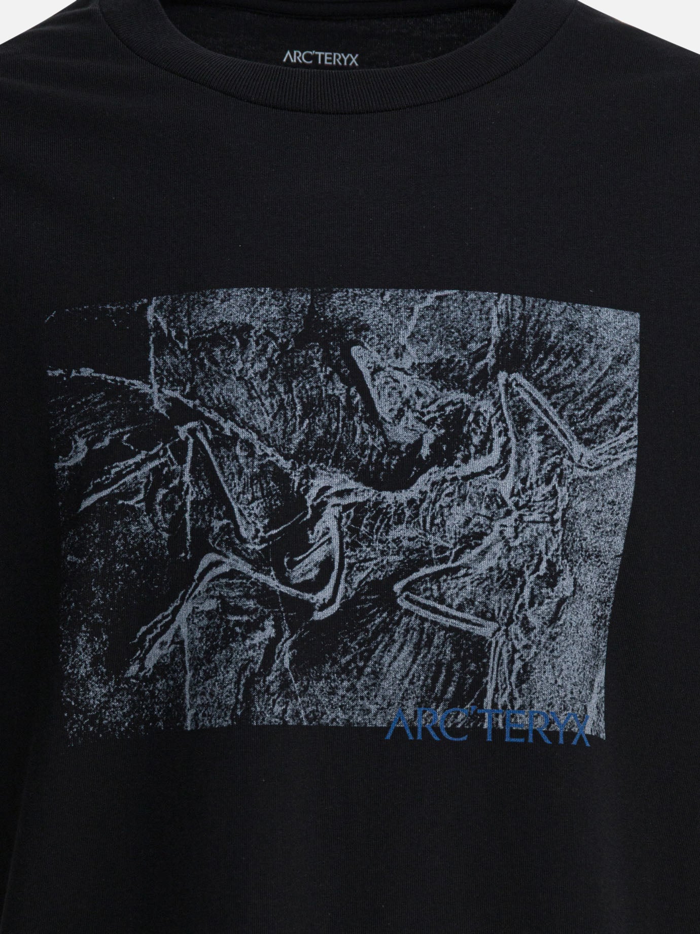 Crewneck t-shirts Graphics  Black - Arc&#39;teryx Men | PDP | VIETTI Online Store | thumbnail_3