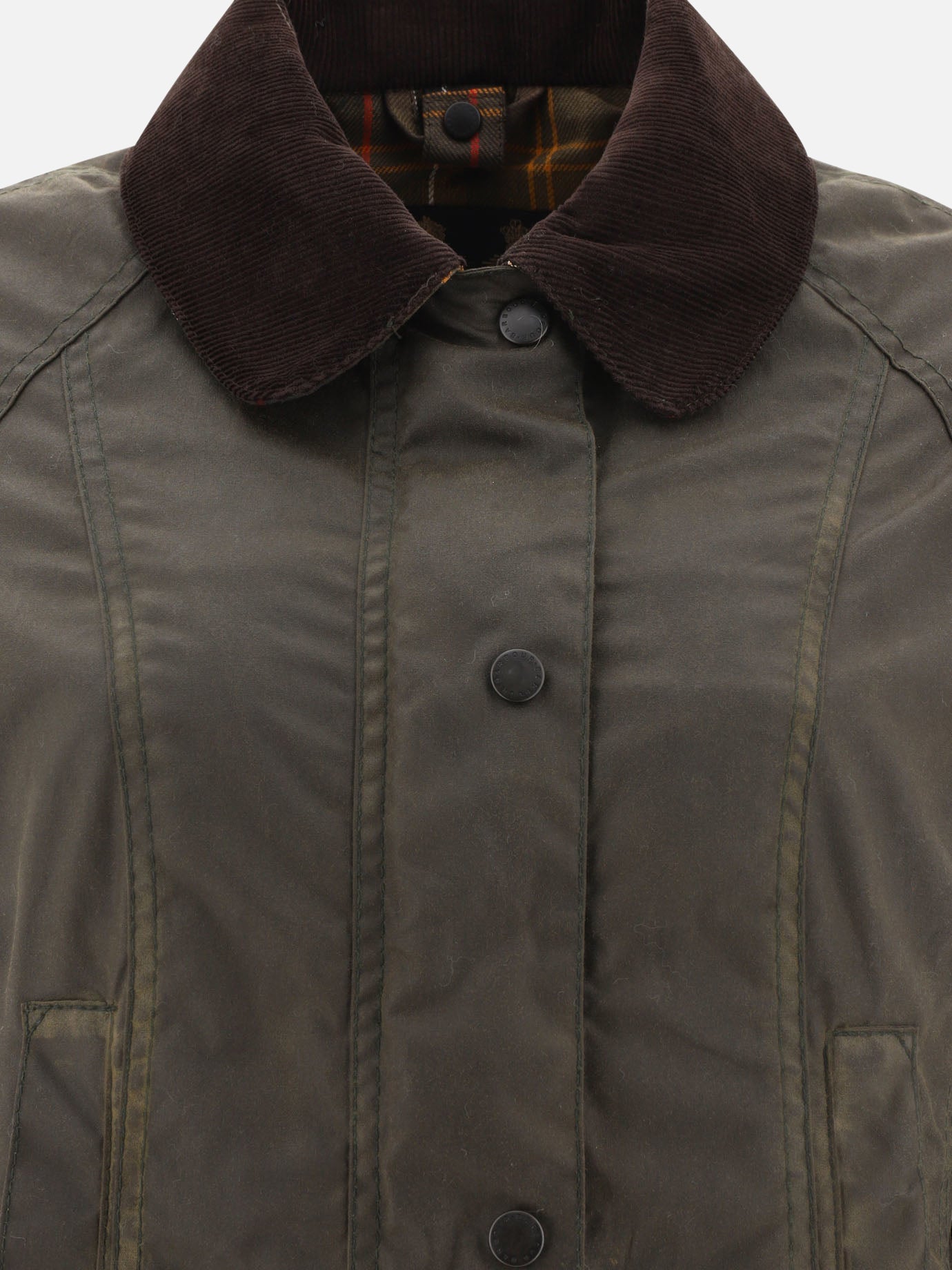 Quilted & Utility Jackets Solid colour  Green - Barbour Women | PDP | VIETTI Online Store | thumbnail_3