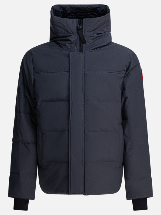 Down jackets Logo  Grey - Canada Goose Men | PDP | VIETTI Online Store 
