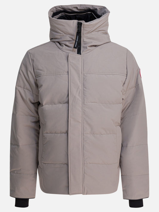 Down jackets Logo  White - Canada Goose Men | PLP | VIETTI Online Store 
