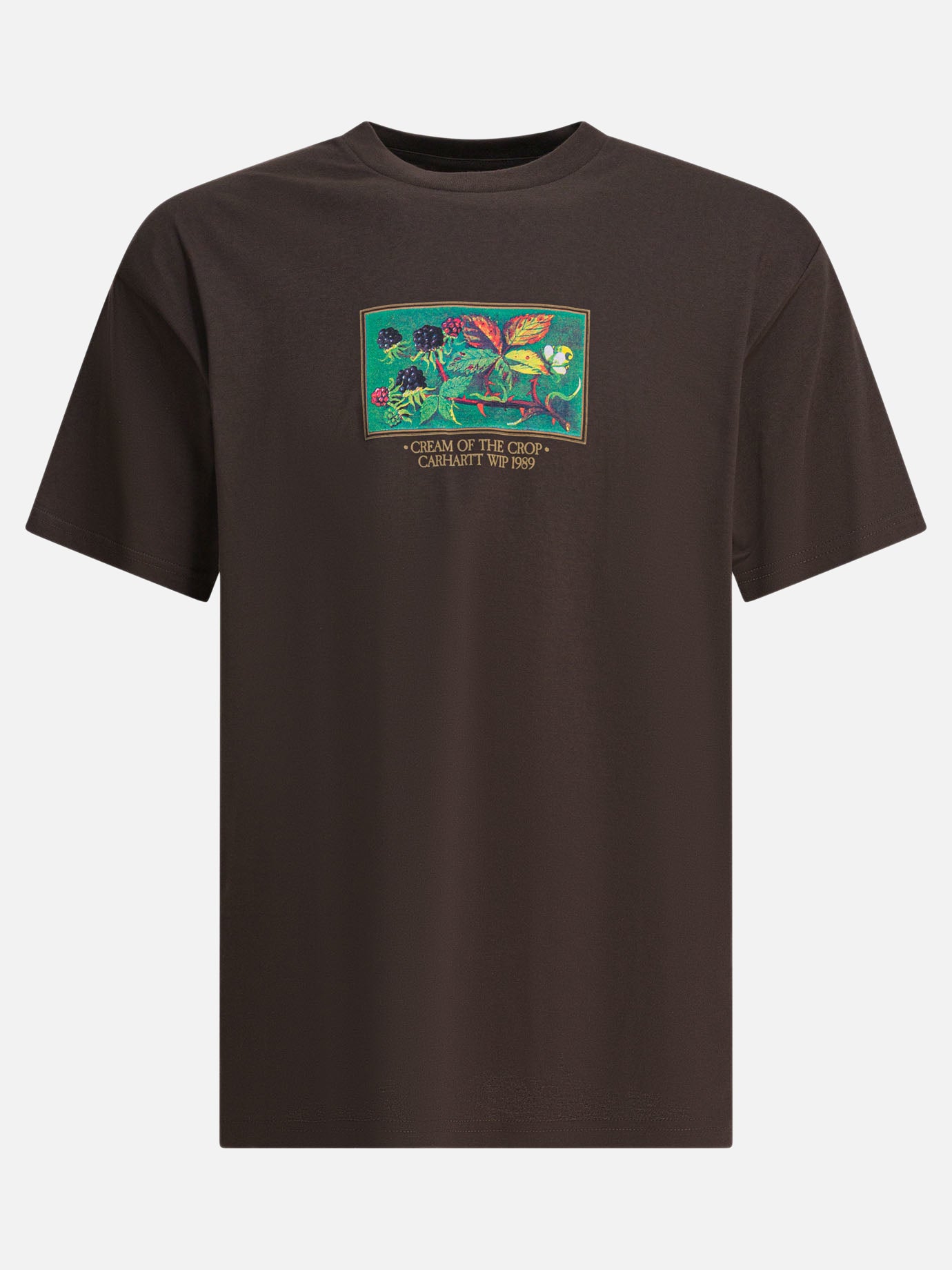 T-shirt girocollo Print  Marrone - Carhartt WIP Uomo | PDP | VIETTI Online Store | thumbnail