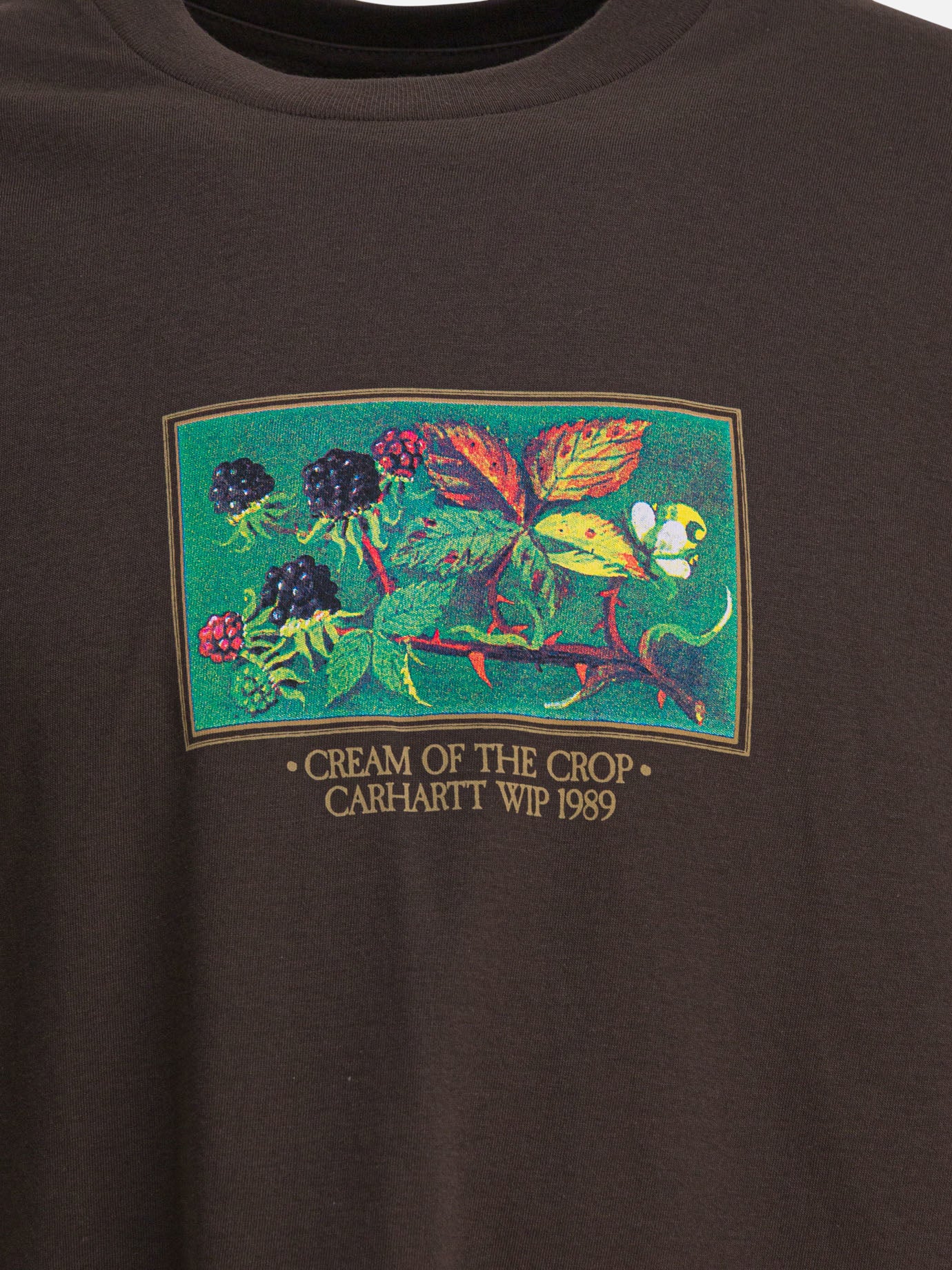 T-shirt girocollo Print  Marrone - Carhartt WIP Uomo | PDP | VIETTI Online Store | Zoom-Modal_3
