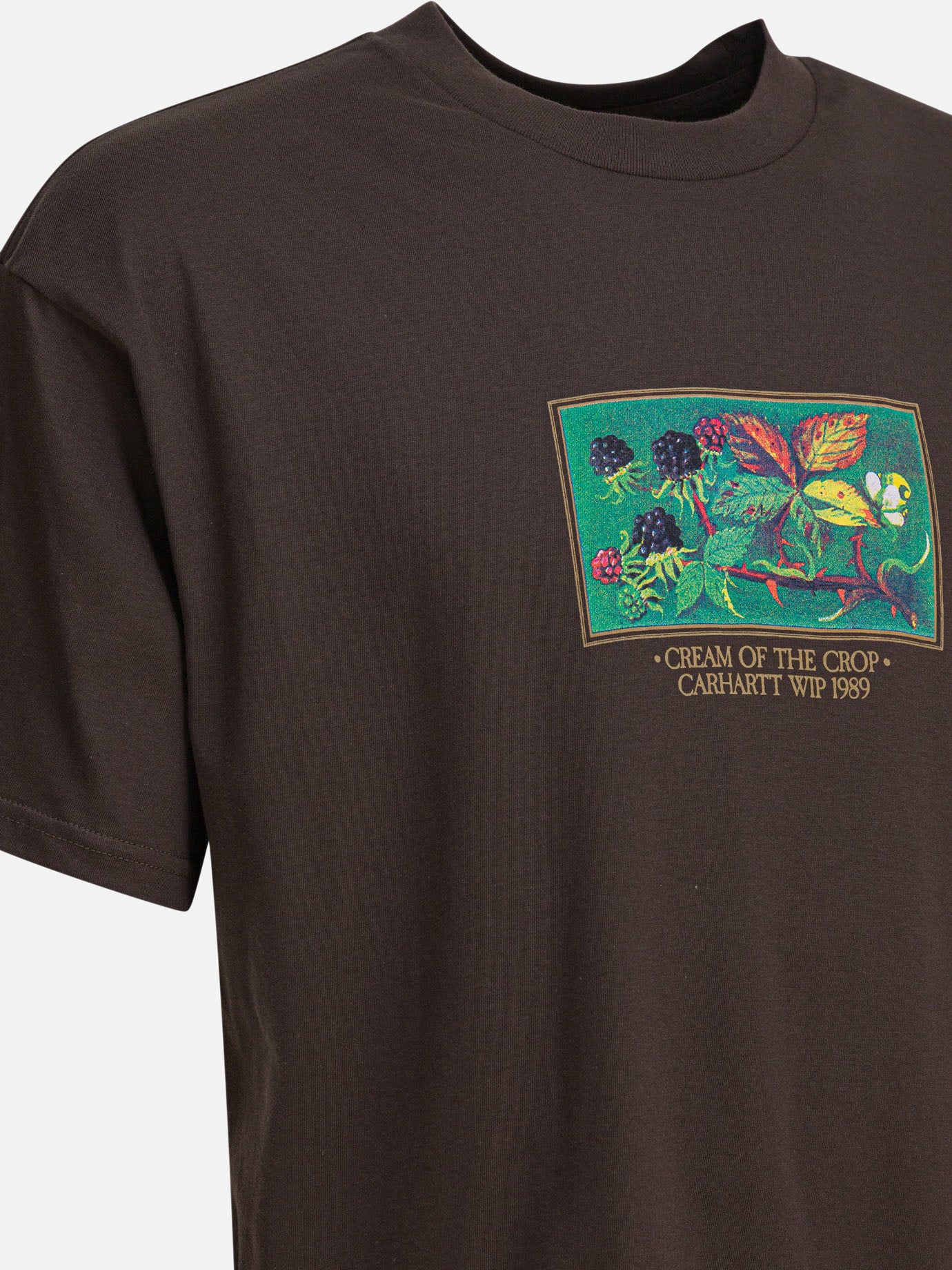 T-shirt girocollo Print  Marrone - Carhartt WIP Uomo | PDP | VIETTI Online Store | thumbnail_4