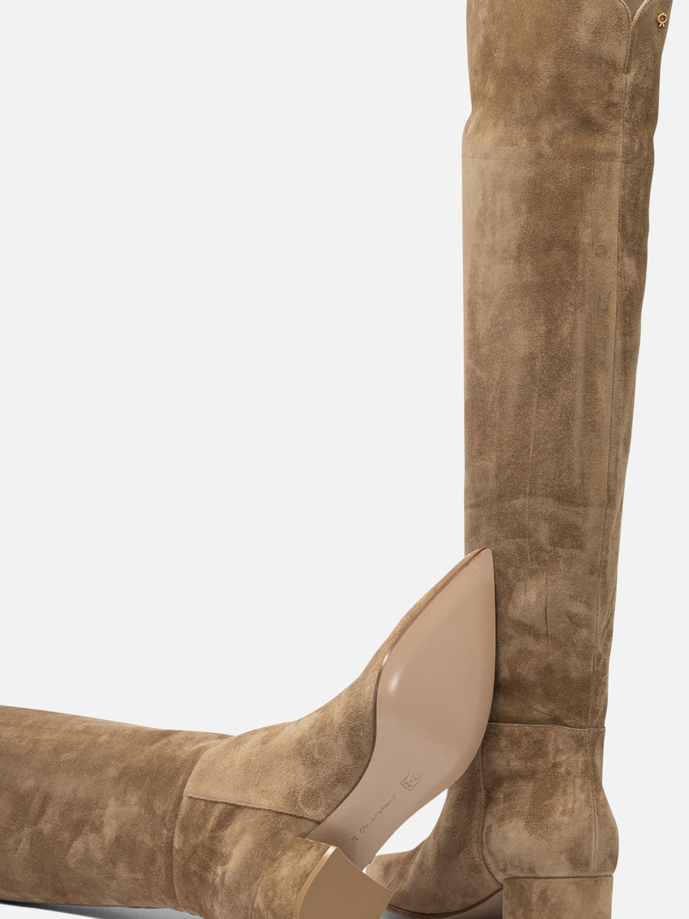 Sopra al ginocchio 100% suede - 100% leather  Beige - Gianvito Rossi Donna | PDP | VIETTI Online Store | thumbnail_5