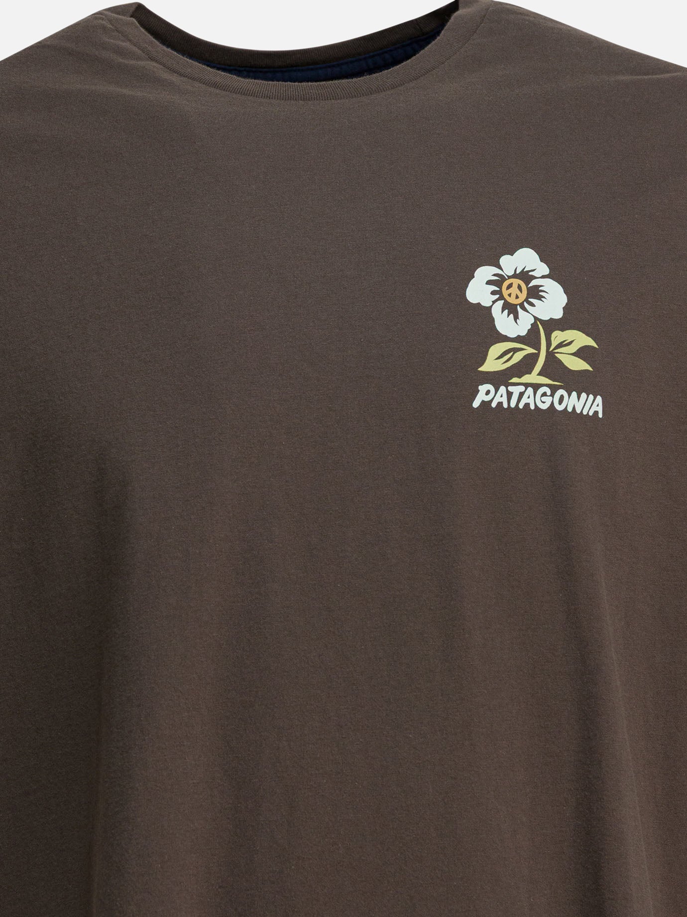 Crewneck t-shirts Print  Brown - Patagonia Men | PDP | VIETTI Online Store | Zoom-Modal_3
