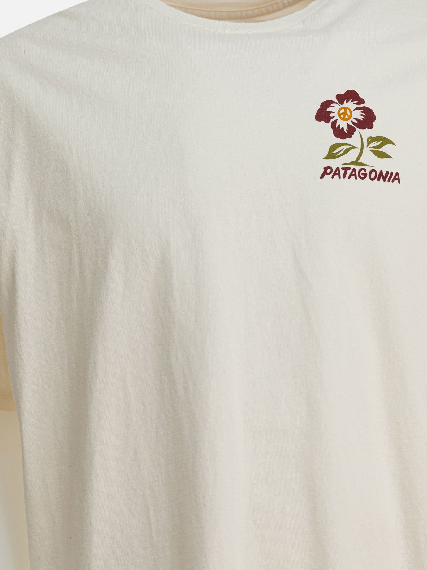 T-shirt girocollo Print  Beige - Patagonia Uomo | PDP | VIETTI Online Store | Zoom-Modal_3

